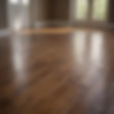 A finished hardwood floor with a glossy finish