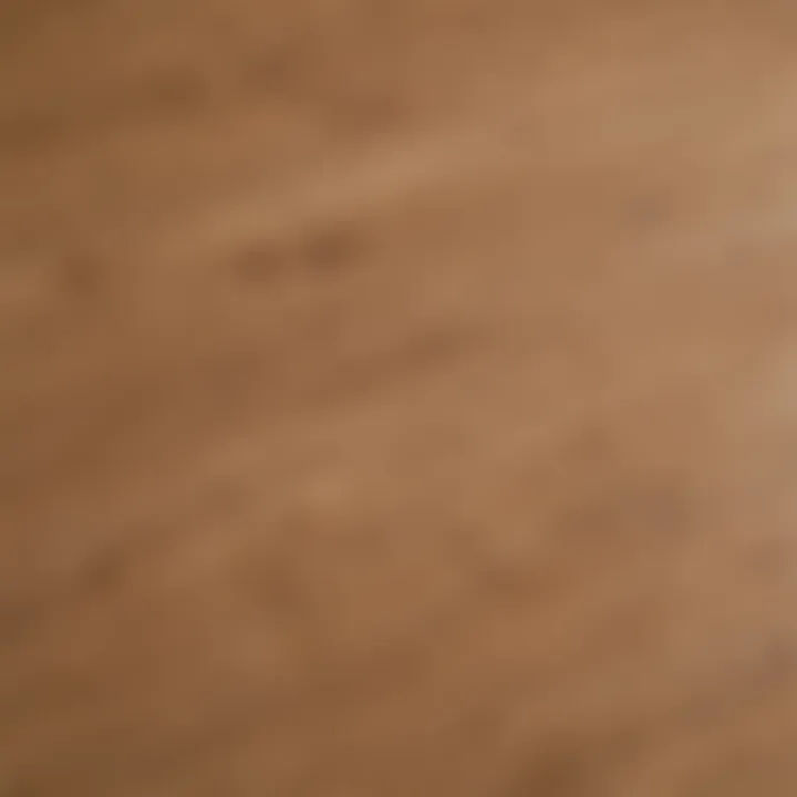 Close-up of sanded hardwood showing smooth texture