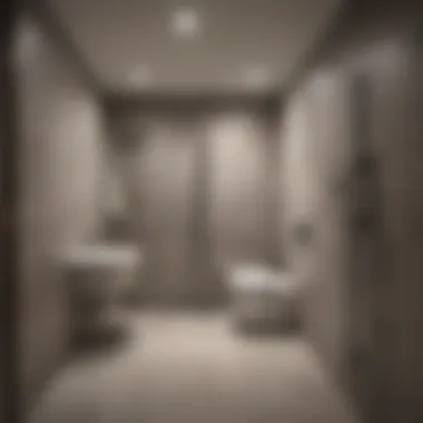 Planning layout for basement toilet installation