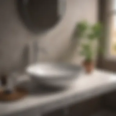 Maintaining Aesthetic and Functionality A beautifully designed bathroom sink with maintenance tips displayed