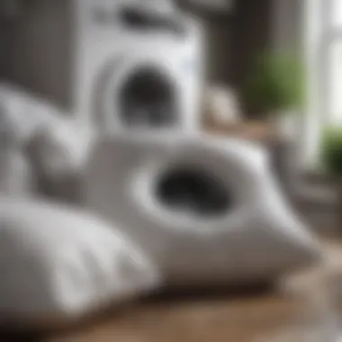 Washing Down Pillows Washing machine with down pillows inside