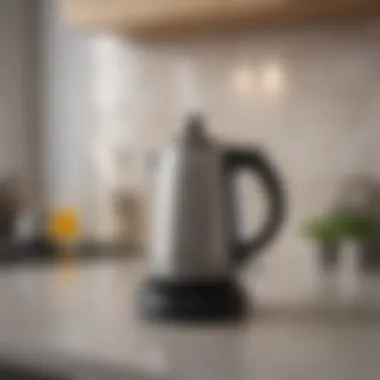 Sleek design of a compact electric kettle on a kitchen counter