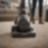 Powerful vacuum cleaner efficiently removing pet hair from carpet