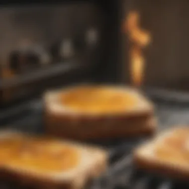 An array of toasted bread slices in a toaster oven.