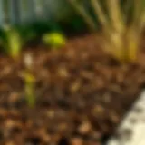 Best Mulch for Garden Beds: A Comprehensive Guide Introduction
