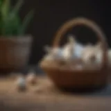 A basket filled with fresh garlic bulbs showcasing their natural color and texture