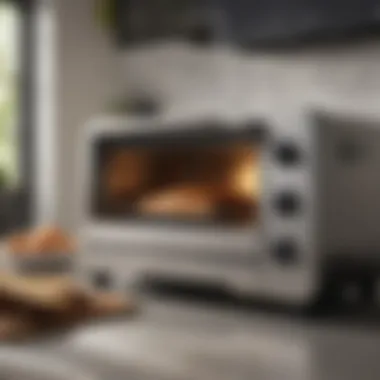Stylish Toaster Oven in Modern Kitchen Stylish toaster oven blending with modern kitchen decor