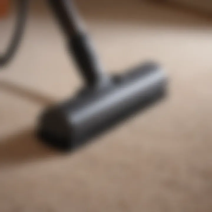 Close-up of vacuum cleaner's brush roll on carpet