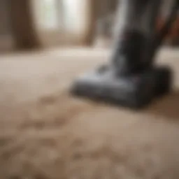 Powerful vacuum cleaner designed for tall carpets