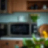 Stylish modern microwave appliance in a serene kitchen setting