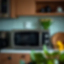 Stylish modern microwave appliance in a serene kitchen setting