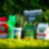Different types of Scotts lawn fertilizers arranged