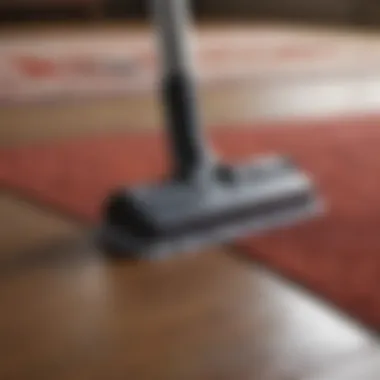 Cleaning Tools for Area Rugs A close-up of cleaning solutions and tools for area rugs.