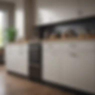 Organized kitchen cabinets free of grease