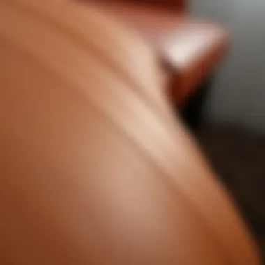 Close-up of leather texture after using degreaser