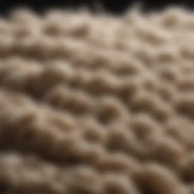 Close-up of wool fibers and their texture