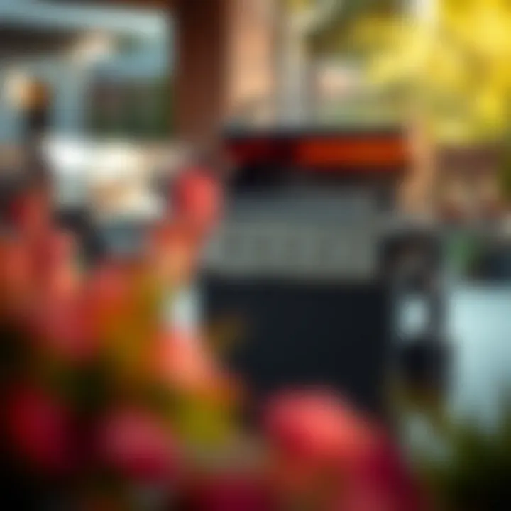 Modern Gas Grill Features Sleek modern gas grill showcasing its innovative features