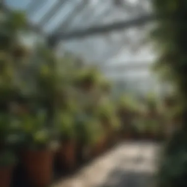 Interior view of a greenhouse filled with various plants thriving year-round.