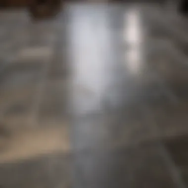 Various stone floor cleaners arranged on a countertop