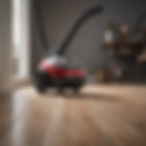 Compact vacuum design ideal for small spaces