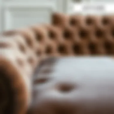 Transformation of Velvet Upholstery Before and after velvet upholstery cleaning