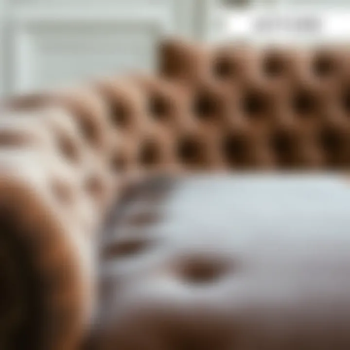 Transformation of Velvet Upholstery Before and after velvet upholstery cleaning