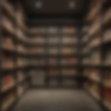 Visual layout of an efficient pantry design