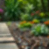 A well-maintained garden with proper drainage solutions in place.