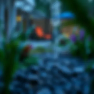 Innovative Rain Garden Solutions for Excess Water A rain garden designed to absorb excess water efficiently.