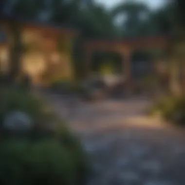 Detailed Backyard Renovation Layout Detailed layout plan for backyard renovation, showcasing key areas.