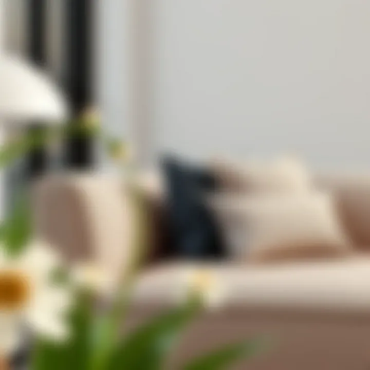 Premium Fabric Choice for Reupholstery Elegant couch reupholstery example showcasing premium fabric choice