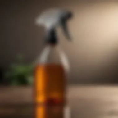 Homemade Spray Bottle for Targeted Application Homemade spray bottle ready for application