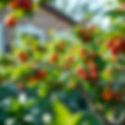 Lush fruit trees in a vibrant garden