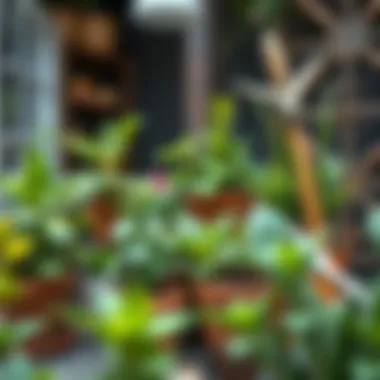 Essential maintenance tools for pot plant care