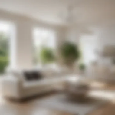 Bright white living room illuminated with natural light