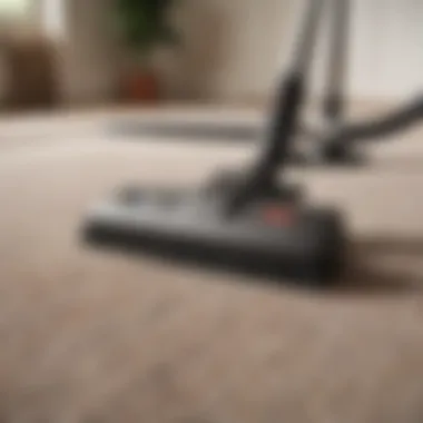 A detailed view of a carpet cleaning solution being applied