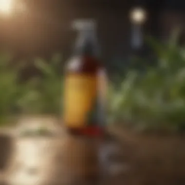 Eco-Friendly Gnat Repellent Ingredients Natural ingredients used for gnat repellent solutions