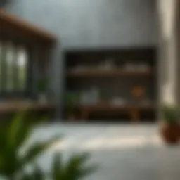 Natural cleaning solution for concrete