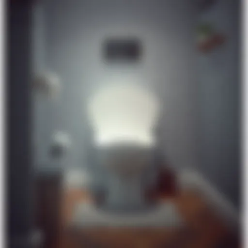 Effective Methods to Unclog a Toilet Without a Plunger Introduction