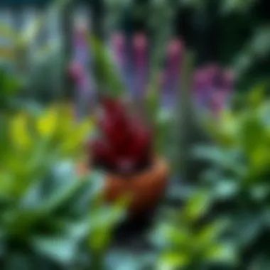 A selection of moisture-loving plants in a vibrant garden