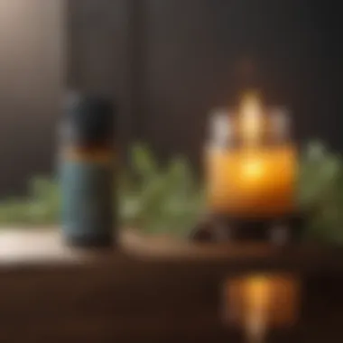 Essential Oils for Mosquito Deterrence Essential oils for mosquito deterrence