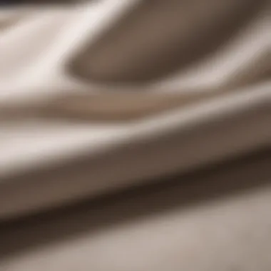 Clean Cotton Fabric Post Stain Removal Cotton fabric after successful wine stain removal