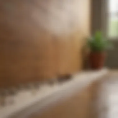 Preventive Measures for Termite Control Preventive measures for termite control in a home
