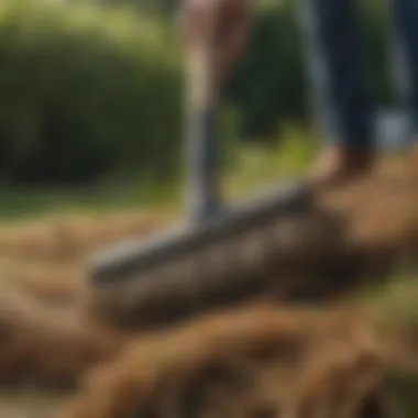 Dethatching tool in use, showcasing the removal of thatch