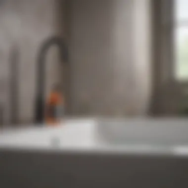 Product Showdown: Specialized Cleaners Comparison of specialized cleaning products for bathtubs