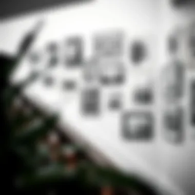 Elegant Black and White Photos on Staircase An elegant arrangement of black and white photographs on a staircase