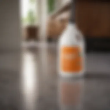A variety of commercial cleaning products on display