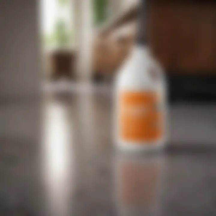A variety of commercial cleaning products on display