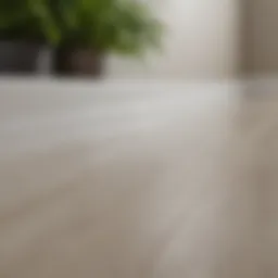 A clean and modern baseboard in a well-maintained living room