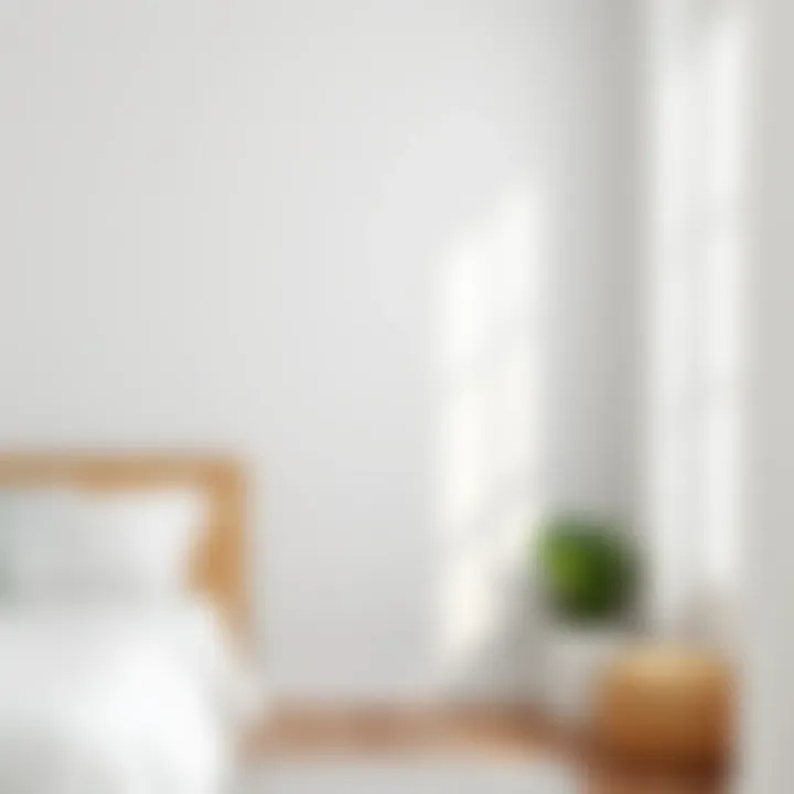 Textured Appeal of White Walls Close-up of textured white wall design
